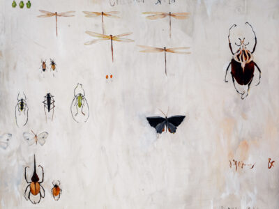 JEAN-PAUL COLLECTION